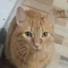 Barbara Hedrick - @barbarahedrick_4948 - TikTok