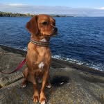 @barbara_heenan1 - Instagram