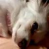 barbarahelder - @barbarahelder - TikTok