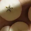 barbaraheldke - @barbaraheldke - TikTok
