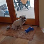 Barbara Coburn Henseler - @barbara.henseler - Instagram