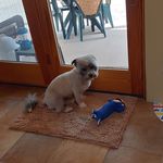 Barbara Coburn Henseler - @barbarahenseler - Instagram