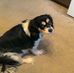 Barbara Hensley - Facebook