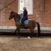 Barbara Heppe - @barbaraheppe5 - TikTok