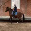 Barbara Heppe - @barbara.heppe - TikTok