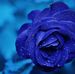 Barbara Herbig - Facebook