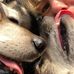 Barbara Herbig - Facebook