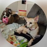 barbara Skibitzke Hermansen - @barbaraskibitzke - Instagram