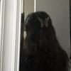 barbara ☾ - @barbarahermes - TikTok