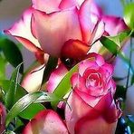 Barbara Hernandez - Facebook