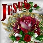 Barbara Herndon - @herndon_barbara - Instagram
