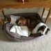 Barbara Herndon - Facebook