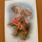 Barbara Herold - Facebook
