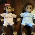 Barbara Heron Oulton - @barbaraoulton - Instagram