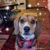 Barbara Herr - @barbara.herr1 - TikTok