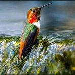 Barbara Herrera - Facebook