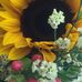 Barbara Herrmann - Facebook