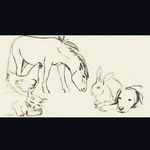 Barbara Herrmann - @futtermittel.herrmann - Instagram
