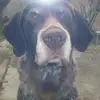 barbaraherrmann34 - @barbaraherrmann34 - TikTok