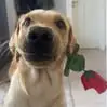 barbaraherrmann - @barbaraherrmann - TikTok