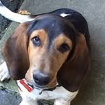 Barbara Arwood Herron - @barbaraarwoodherron - Instagram