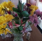 Barbara Hersom - Facebook