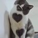 Barbara Herzig - Facebook