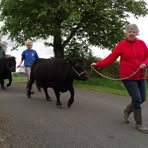 Barbara Hesketh - Facebook