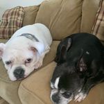 Barbara Smith Hessler - @hesslerbarbara - Instagram