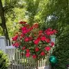 barbarahesser - @barbara.hesser - TikTok