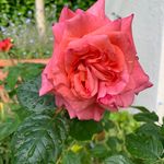 Barbara Hester - @barbarahester12 - Instagram