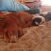 Barbara Hester - Facebook