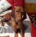 Barbara Hetzel - Facebook