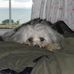 Barbara Hibbert - Facebook