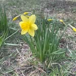 Barbara Hibner - @barhibn - Instagram
