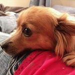 Barbara Hickey - @80srokkergirl - Instagram