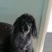 Barbara Higham - Facebook