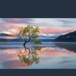 Barbara J Highlander - @barbarajhighlander - Instagram