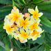Barbara Hill - Facebook