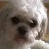 Barbara Hill - @barbara.hill - TikTok