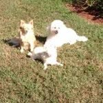 Barbara Hill - @barbarahill39 - Instagram