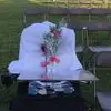 Barbara Hill - @barbara.hill340 - TikTok