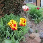Barbara Hillier Standridge - @barbarahillierstandridge - Instagram