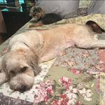 Barbara Hines - @barbara.hines.3958 - Instagram