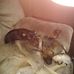 Barbara Hines - Facebook