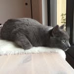Barbara Hinz - @barbara_hinz2019 - Instagram