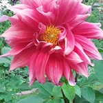 Barbara Jean Hinz - @barbie_hinz70 - Instagram