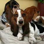 Barbara Hoare - @hoare5439 - Instagram