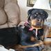 Barbara Holcomb - Facebook