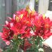 Barbara Holden - Facebook